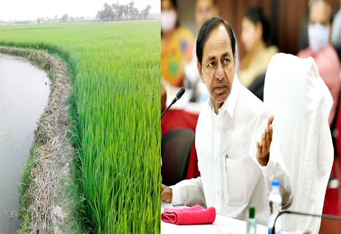 CM KCR review on the issue of grain purchases