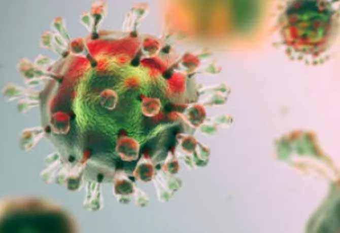 Coronavirus decline in Greater Hyderabad