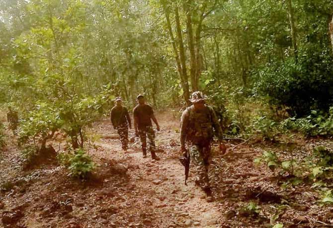 460 Naxals have been killed in country since 2018