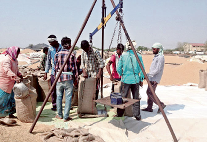 TS Govt begins paddy procurement from April