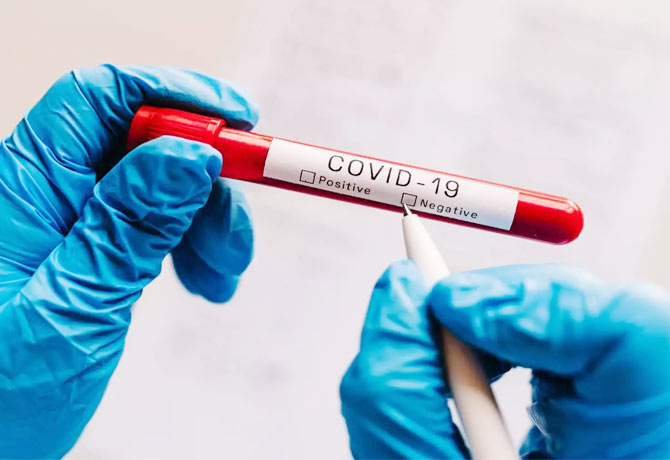 244 new covid-19 cases reported in telangana