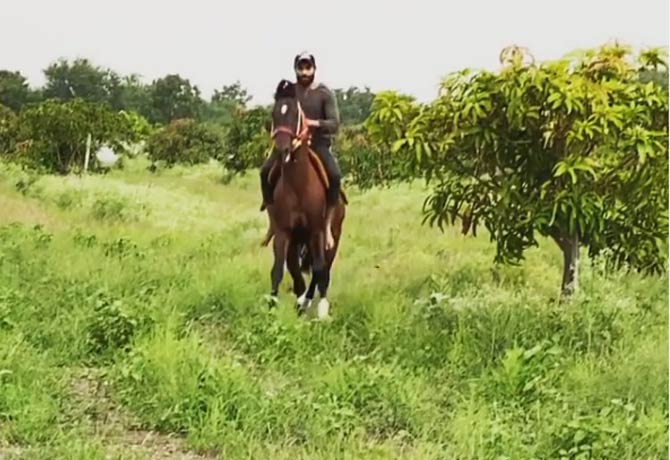 Jadeja Horse riding video viral