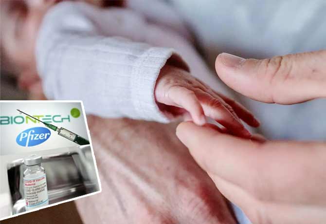 No sign of Pfizer- Moderna Covid vaccines in breast milk