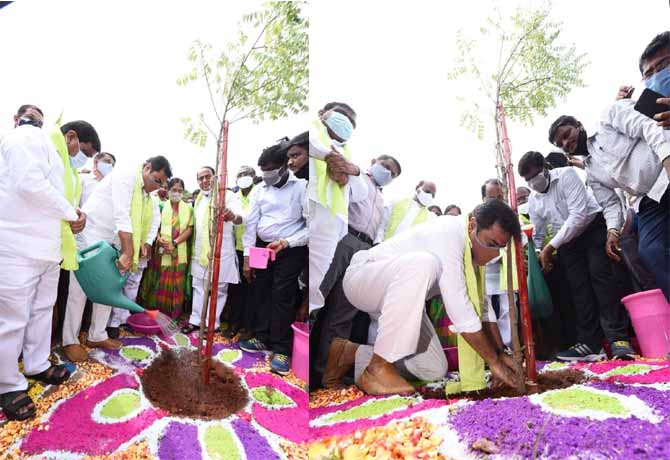220 Crores trees planted in Telangana