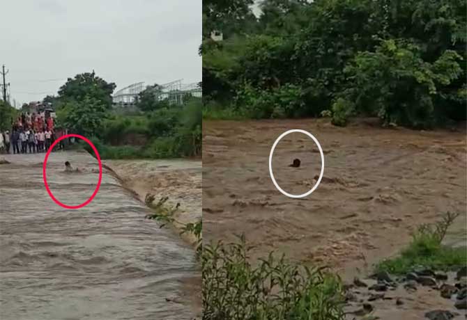 Man life save in Flood water in Vikarabad
