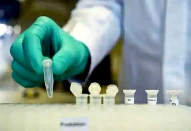 13596 New Corona Cases Reported in India