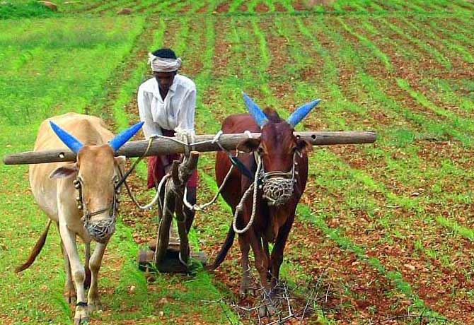 TS govt begins implementing crop loan waiver