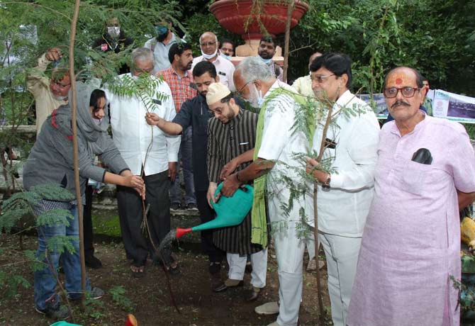 Minority leaders plant tree