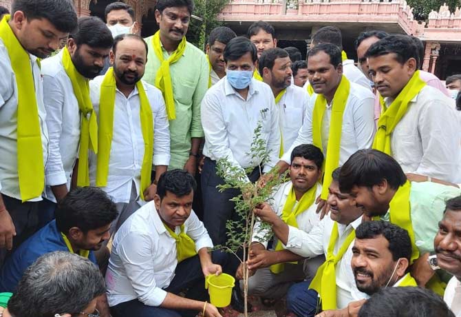 Jammi tree planted in OU