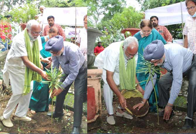Sajjan singh plant tree