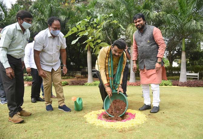 Srilanka high commissioner plant tree