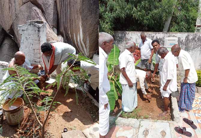Trees are planted in Green India challenge