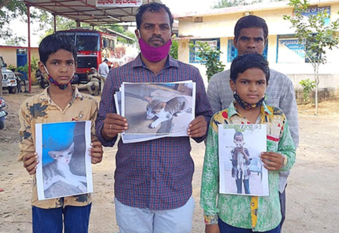 complaint lodged in police station for cat missing