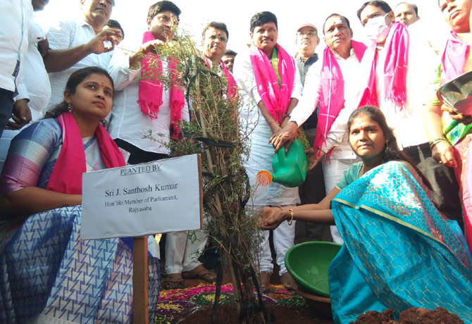 MP Santosh Kumar plant Jammi saplings at Keesara Temple