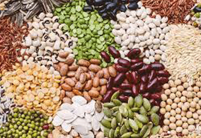 Seeds for cultivation of yasangi crops in telangana