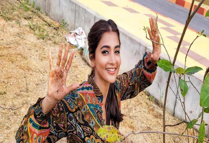 Pooja hegde plant tree in Green India challenge