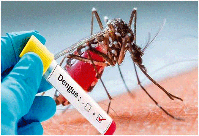 Dengue fever cases on rise in Hyderabad