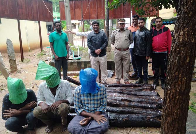 Red sandal smugglers arrested in nellore