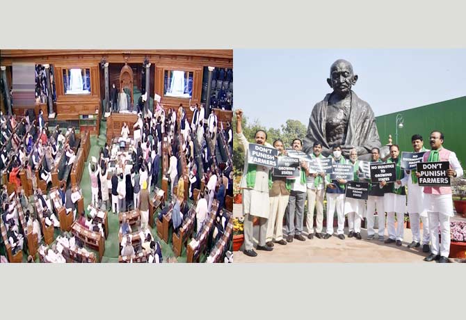 Clarification should be given on grain purchase:TRS MPs