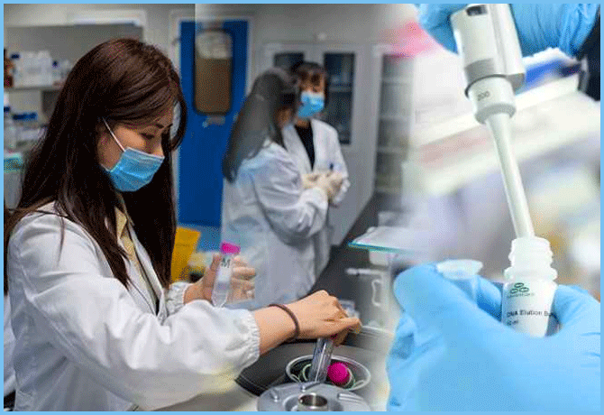 Scientists find 18 more viruses from China