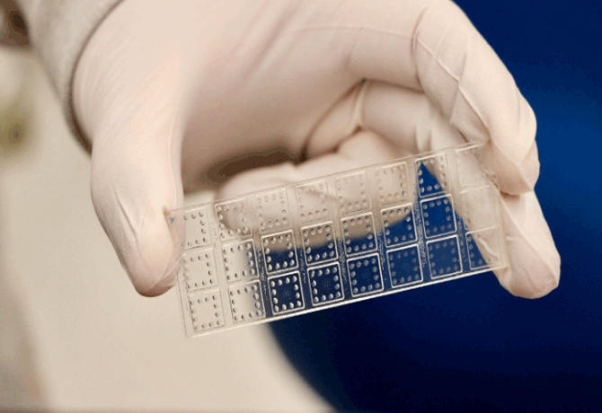 Rapid test identifies antibody against covid variants