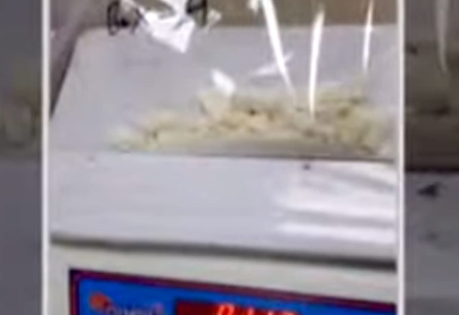 1 Kg Cocaine worth Rs 14 Cr seized at Delhi Airport