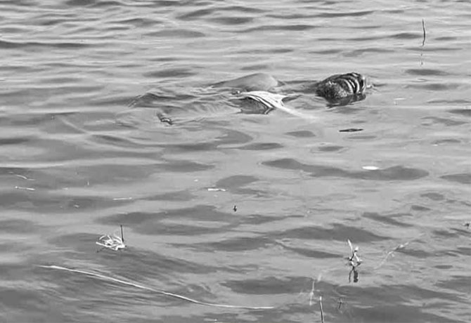 Fisher men dead in Middle manair project