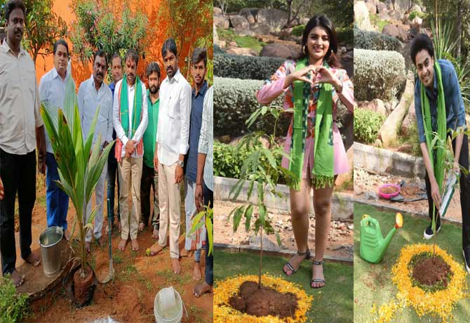 Plant tree in Green India Challenge