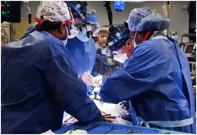 Man gets genetically modified pig heart