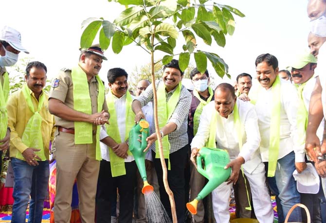 Malla reddy planted trees in KCR Birth Day