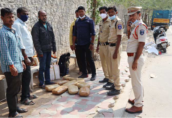 Special drive on cannabis in Hyderabad