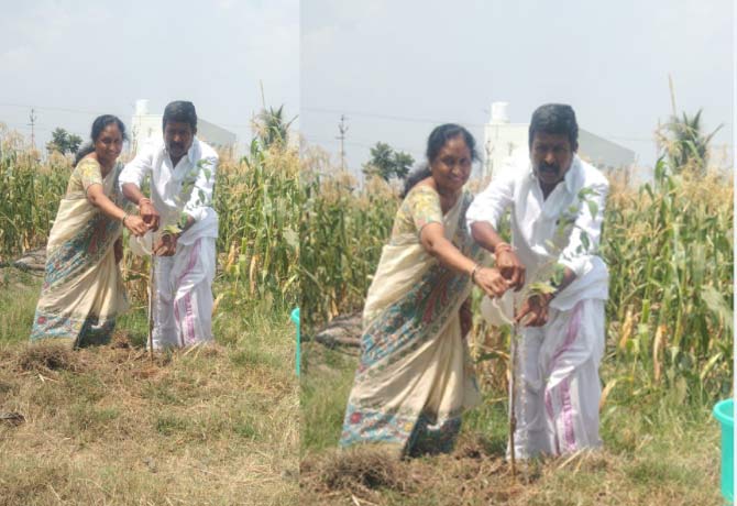 Sheri subhash reddy couple plant tree in Green India challenge