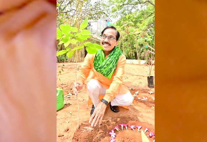 Suddala Ashok Teja plant sapling in Hyderabad