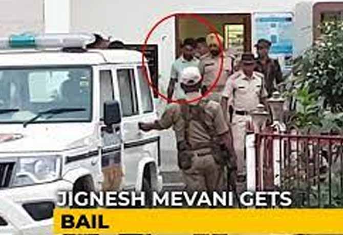 Jignesh Mevani gets Bail