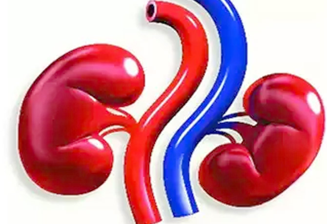 Kidney disease