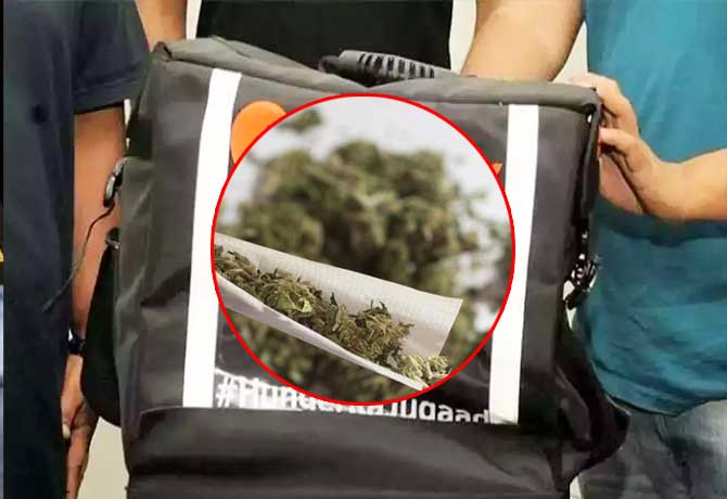 Cannabis move in swiggy bag: Two arrested