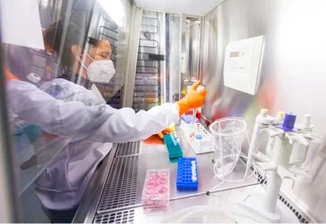 8 Firms in Monkeypox Vaccine Race