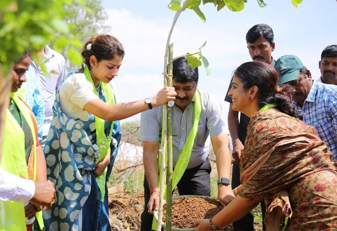 Smita Sabharwal planted saplings in Jangaon