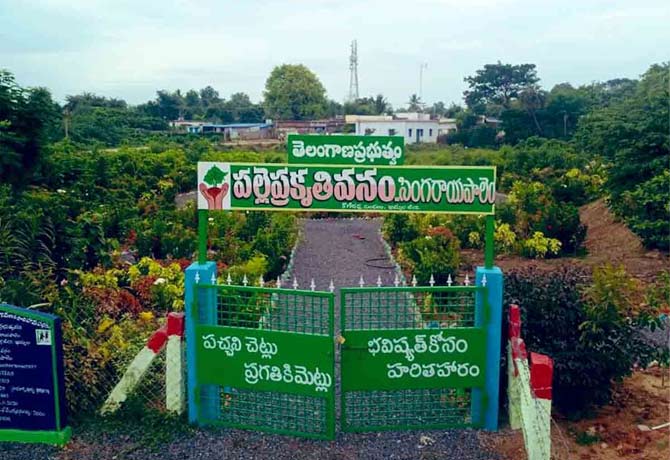 More trees planted in Village