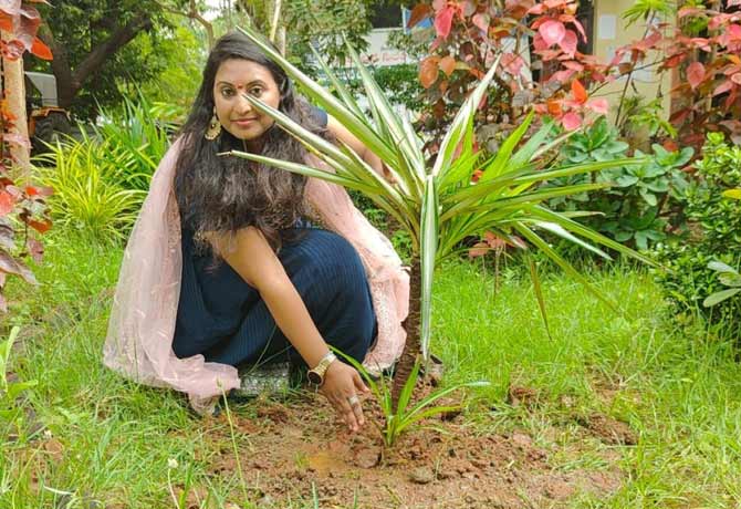Player sindhu plant trees in Green India challenge