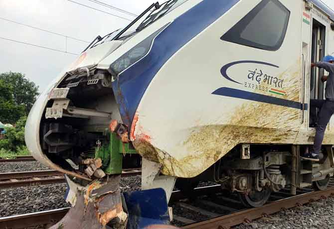 FIR filed against buffalo Owners after hit Vande Bharat Train