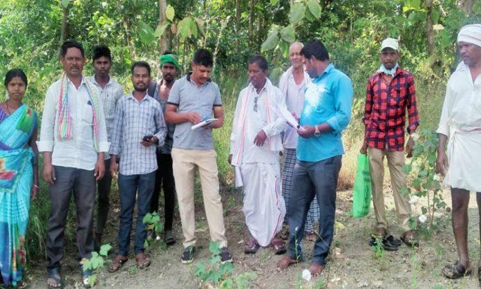 Podu land survey in komaram bheem