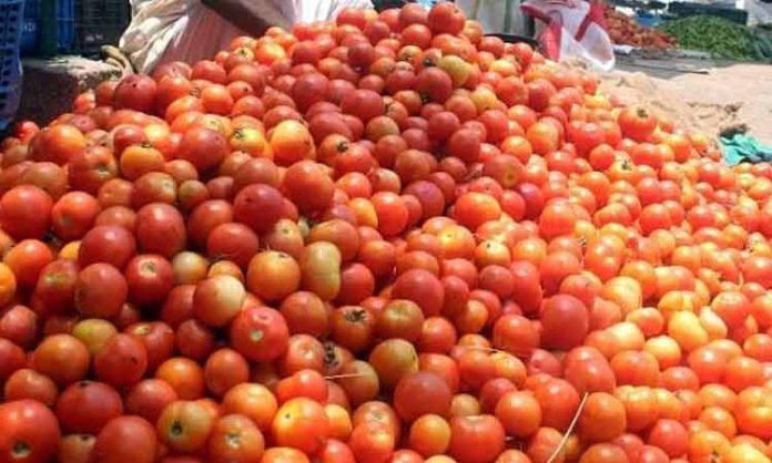 Tomato prices decrease in AP