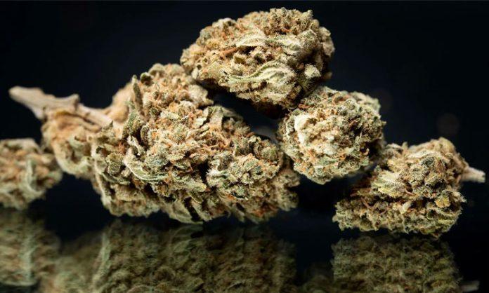 Ganja seized in Shadnagar