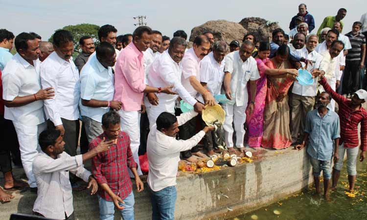 Distribution of fry in Bhadrakali pond