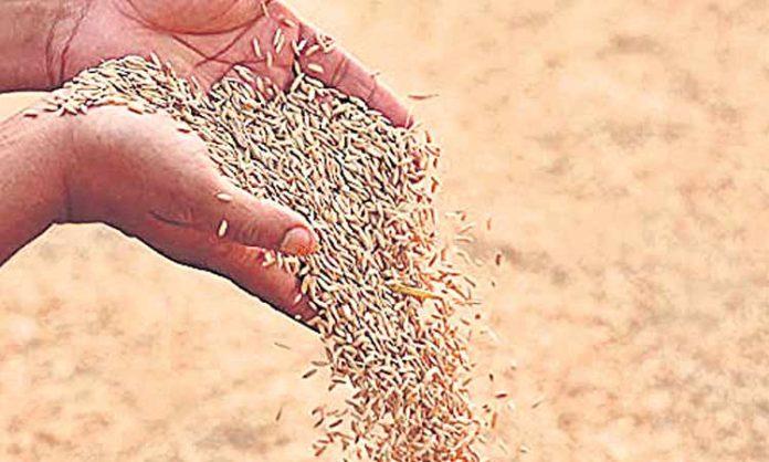 The grain of Telangana state is 2 million tons