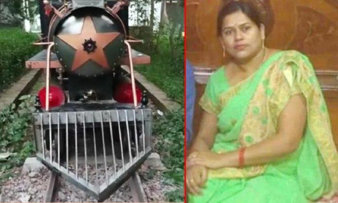 Government teacher dies in toy train collision in zoo