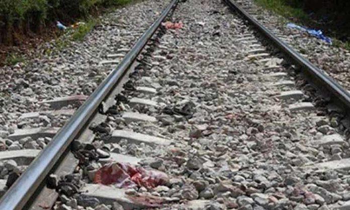VRO commits suicide after being hit by train