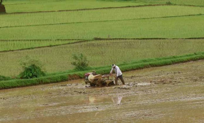 Kannada farmer who supported Telangana agriculture schemes