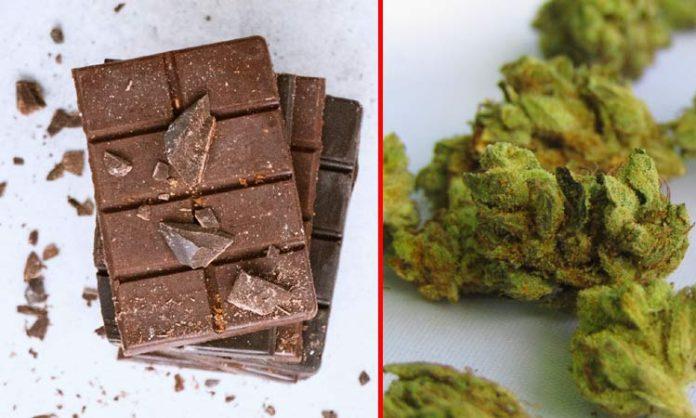 Cannabis Chocolates Sale in Shadnagar